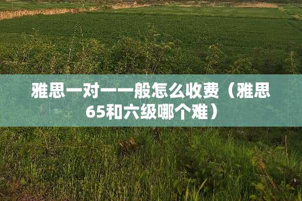 雅思一对一一般怎么收费（雅思65和六级哪个难）