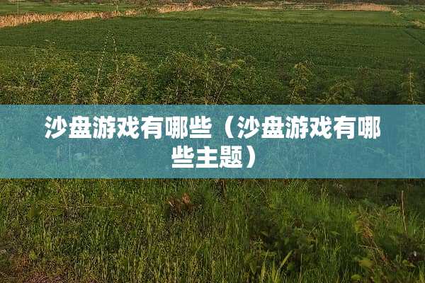 沙盘游戏有哪些（沙盘游戏有哪些主题）