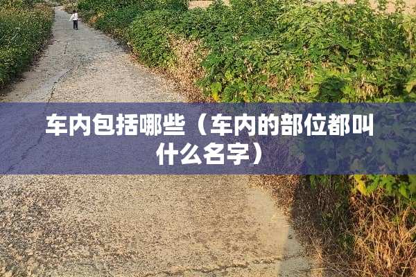 车内包括哪些（车内的部位都叫什么名字）