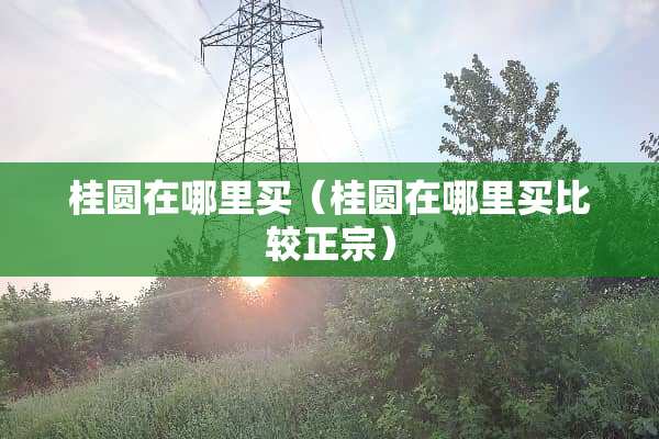 桂圆在哪里买（桂圆在哪里买比较正宗）