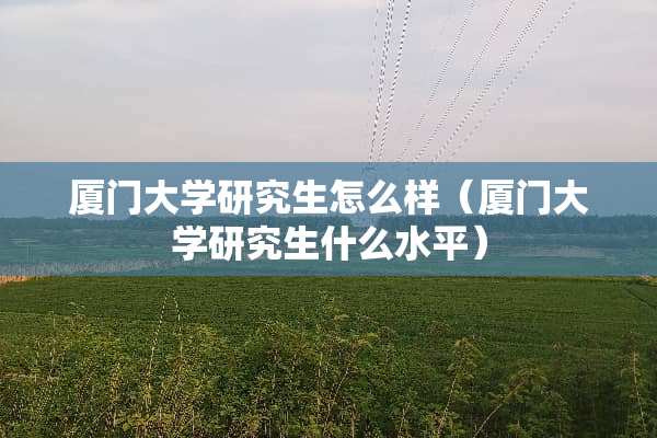 厦门大学研究生怎么样（厦门大学研究生什么水平）