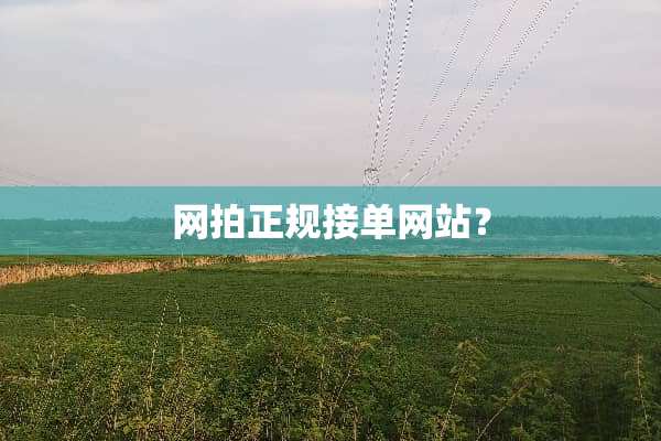 网拍正规接单网站？