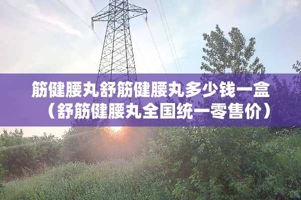 筋健腰丸舒筋健腰丸多少钱一盒（舒筋健腰丸全国统一零售价）