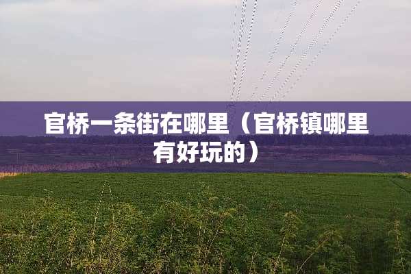 官桥一条街在哪里（官桥镇哪里有好玩的）