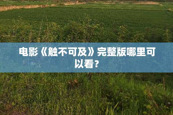 电影《触不可及》完整版哪里可以看？