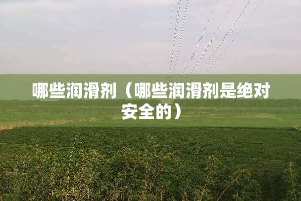 哪些润滑剂（哪些润滑剂是绝对安全的）