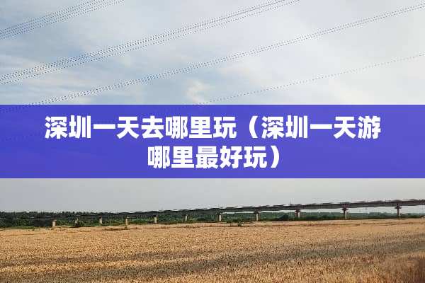 深圳一天去哪里玩（深圳一天游哪里最好玩）