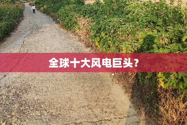 全球十大风电巨头？