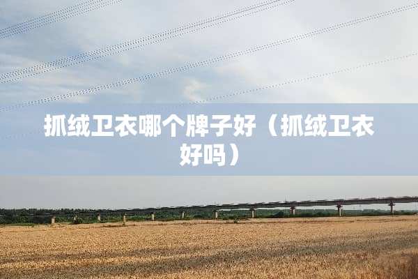 抓绒卫衣哪个牌子好（抓绒卫衣好吗）