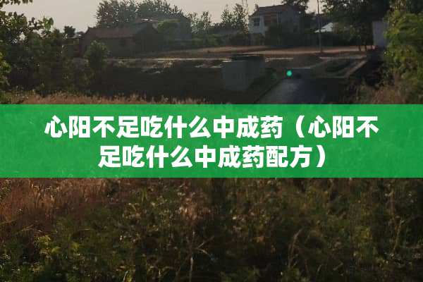 心阳不足吃什么中成药（心阳不足吃什么中成药配方）