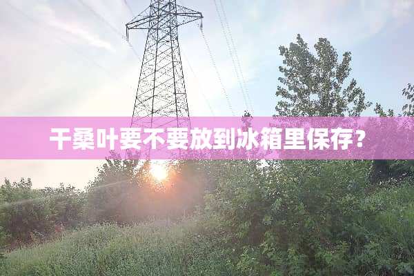 干桑叶要不要放到冰箱里保存？
