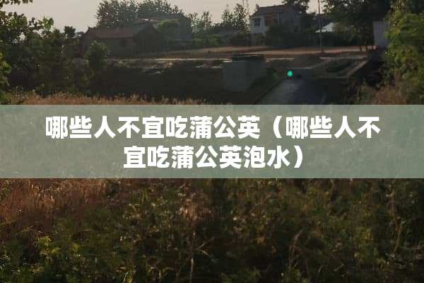 哪些人不宜吃蒲公英（哪些人不宜吃蒲公英泡水）