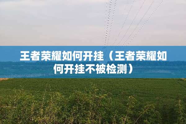 王者荣耀如何开挂（王者荣耀如何开挂不被检测）
