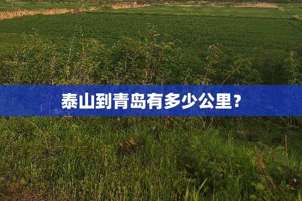 泰山到青岛有多少公里？