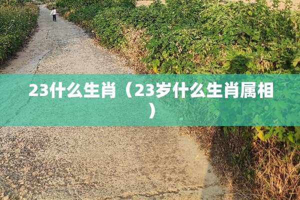 23什么生肖（23岁什么生肖属相）