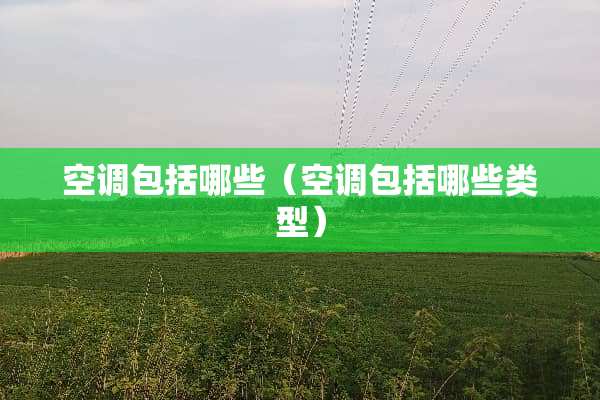 空调包括哪些（空调包括哪些类型）