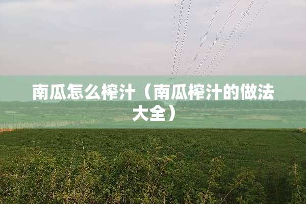 南瓜怎么榨汁（南瓜榨汁的做法大全）