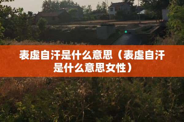 表虚自汗是什么意思（表虚自汗是什么意思女性）