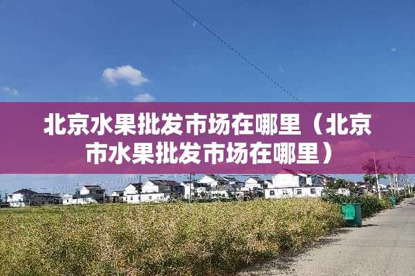 北京水果批发市场在哪里（北京市水果批发市场在哪里）