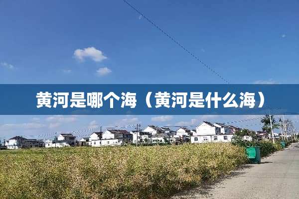 黄河是哪个海（黄河是什么海）