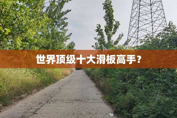世界**十大滑板高手？