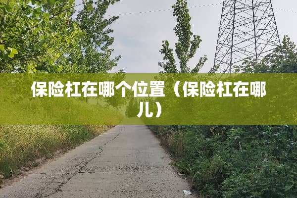 保险杠在哪个位置（保险杠在哪儿）