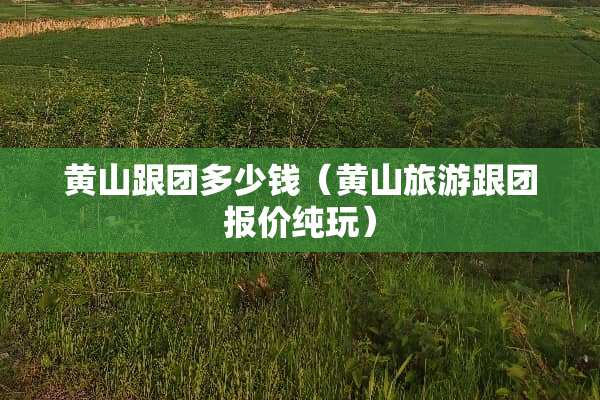 黄山跟团多少钱（黄山旅游跟团报价纯玩）