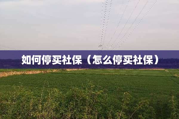 如何停买社保（怎么停买社保）