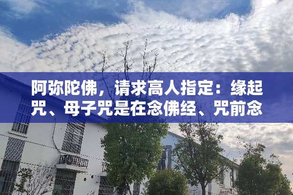 阿弥陀佛，请求高人指定：缘起咒、**咒是在念佛经、咒前念，还是之后念？