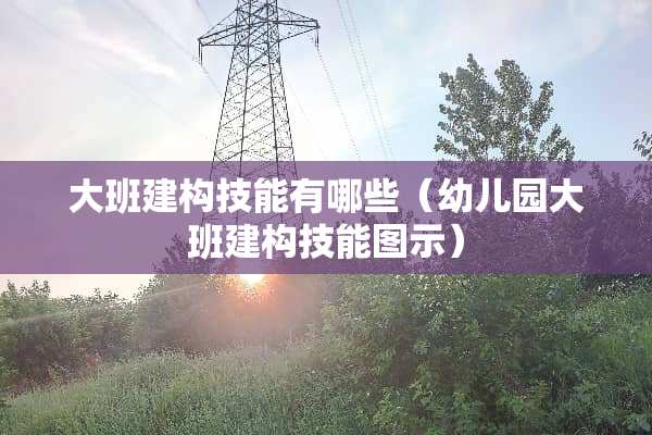 大班建构技能有哪些（幼儿园大班建构技能图示）