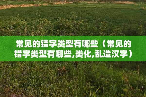 常见的错字类型有哪些（常见的错字类型有哪些,类化,乱造汉字）