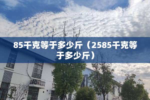 85千克等于多少斤（2585千克等于多少斤）