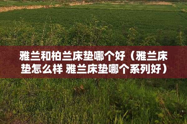 雅兰和柏兰床垫哪个好（雅兰床垫怎么样 雅兰床垫哪个系列好）