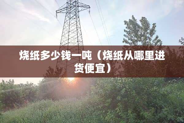 烧纸多少钱一吨（烧纸从哪里进货便宜）