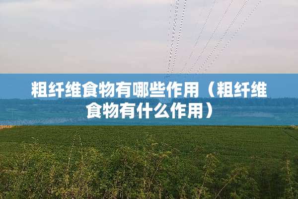 粗纤维食物有哪些作用（粗纤维食物有什么作用）
