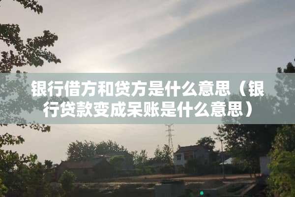 银行借方和贷方是什么意思（银行贷款变成呆账是什么意思）