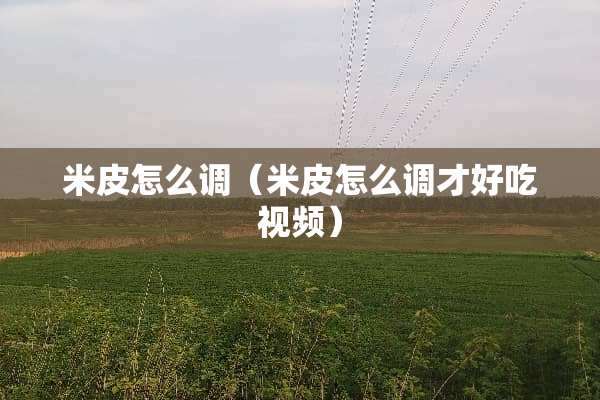 米皮怎么调（米皮怎么调才好吃视频）