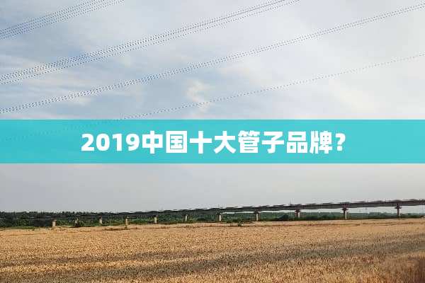 2019中国十大管子品牌？