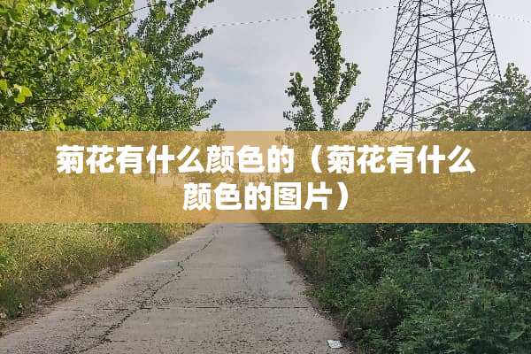 菊花有什么颜色的（菊花有什么颜色的图片）
