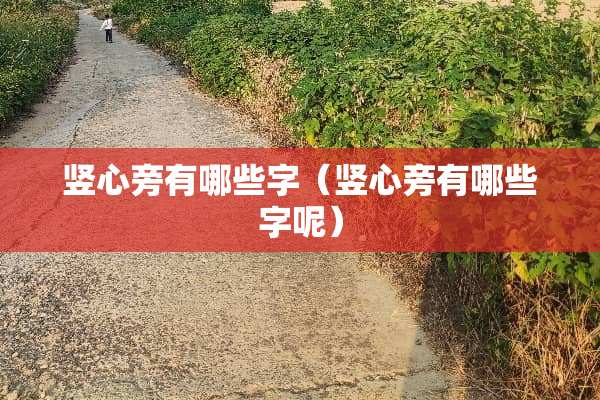 竖心旁有哪些字（竖心旁有哪些字呢）