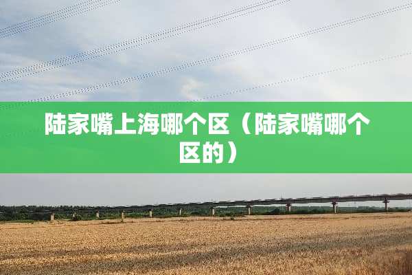 陆家嘴上海哪个区（陆家嘴哪个区的）