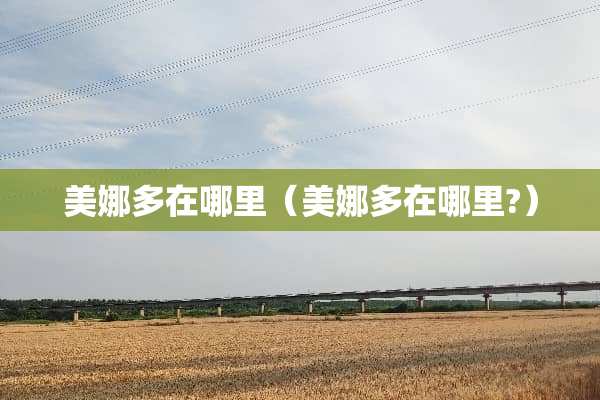 美娜多在哪里（美娜多在哪里?）
