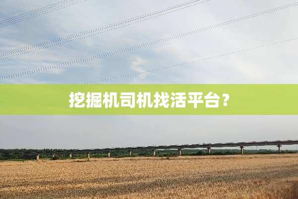 挖掘机司机找活平台？