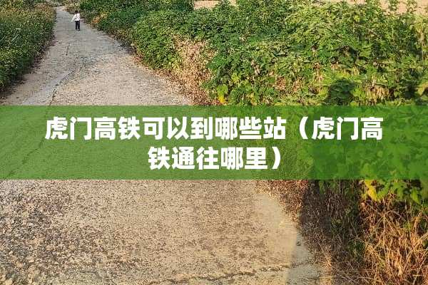 虎门高铁可以到哪些站（虎门高铁通往哪里）