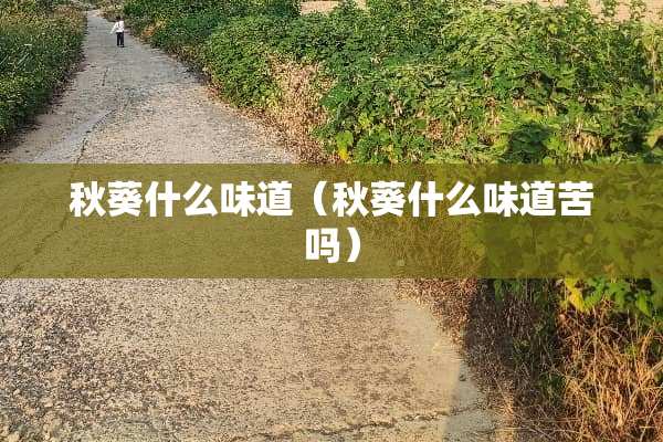 秋葵什么味道（秋葵什么味道苦吗）
