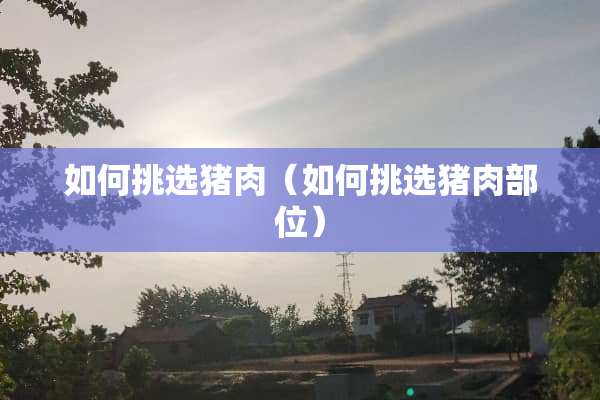 如何挑选猪肉（如何挑选猪肉部位）