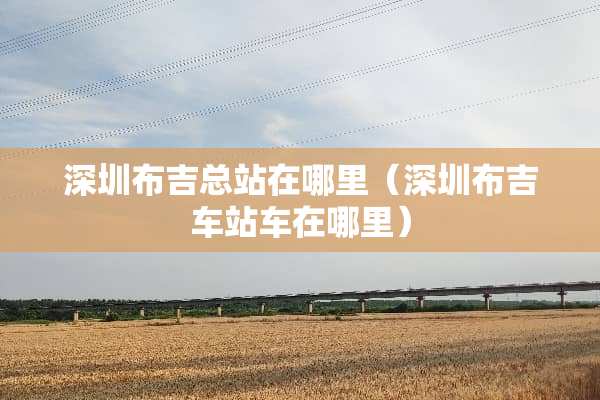 深圳布吉总站在哪里（深圳布吉车站车在哪里）