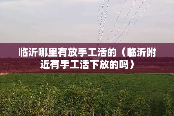 临沂哪里有放手工活的（临沂附近有手工活下放的吗）
