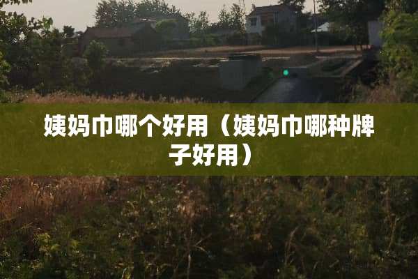 姨妈巾哪个好用（姨妈巾哪种牌子好用）