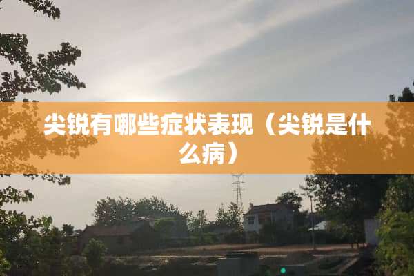 尖锐有哪些症状表现（尖锐是什么病）